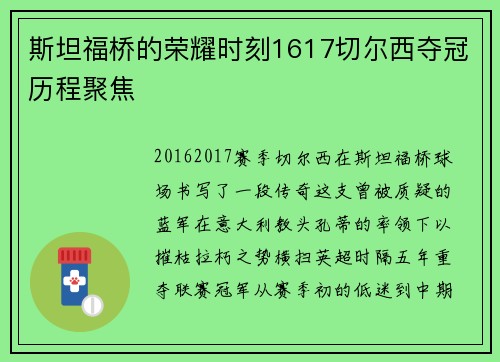 斯坦福桥的荣耀时刻1617切尔西夺冠历程聚焦